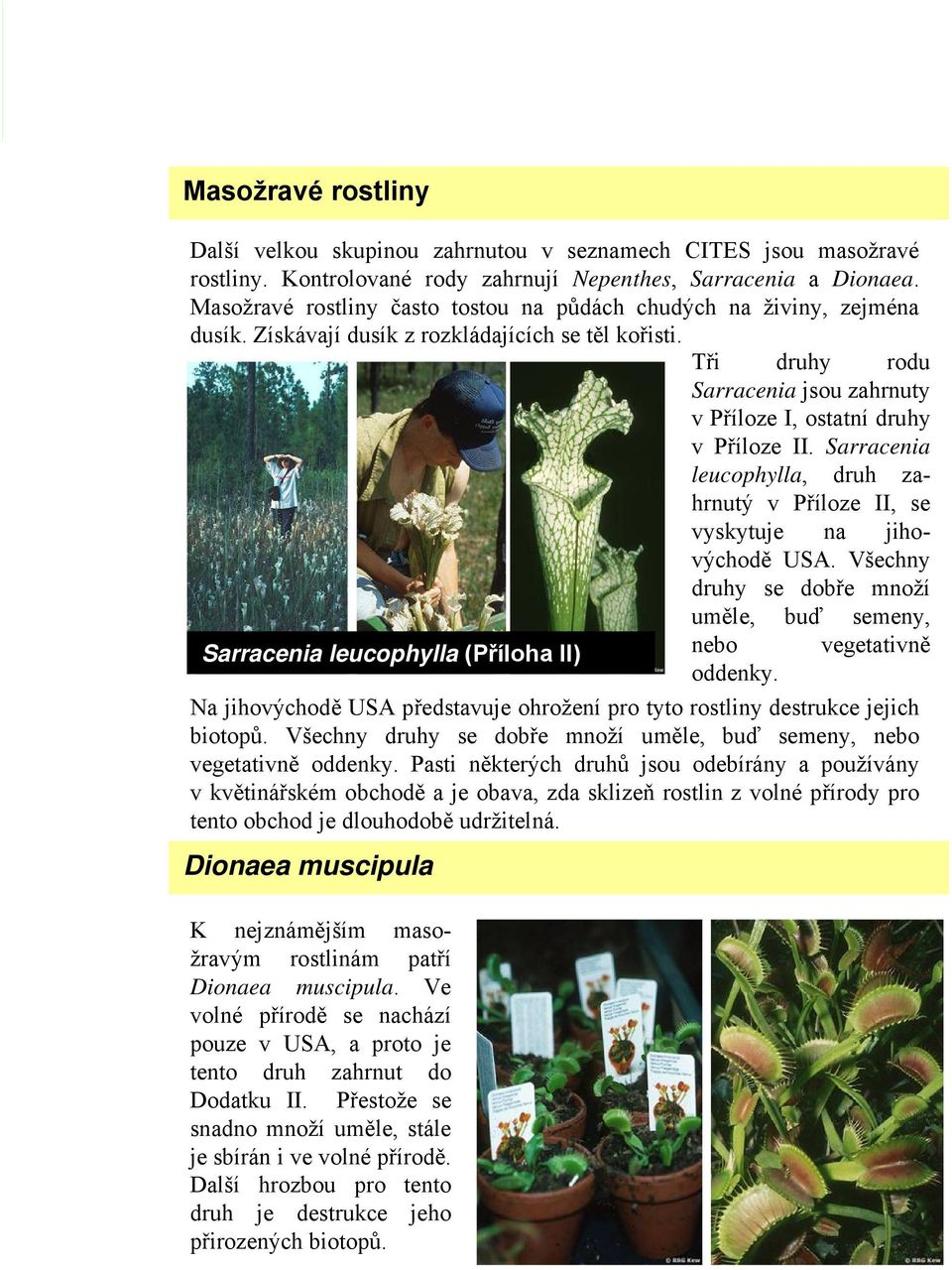 Tři druhy rodu Sarracenia jsou zahrnuty vpříloze I, ostatní druhy vpříloze II. Sarracenia leucophylla, druh zahrnutý v Příloze II, se vyskytuje na jihovýchodě USA.