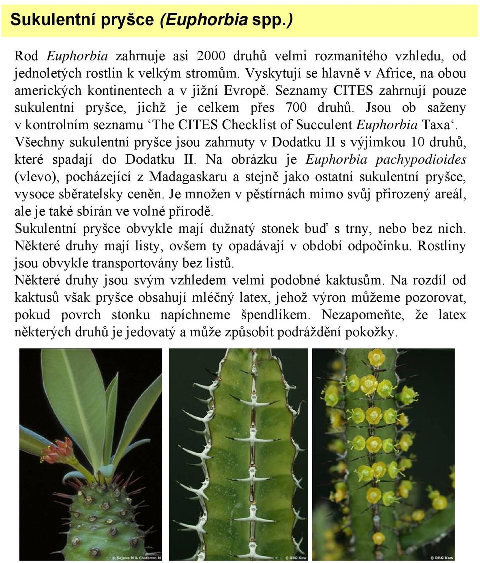 Jsou ob saženy v kontrolním seznamu The CITES Checklist of Succulent Euphorbia Taxa. Všechny sukulentní pryšce jsou zahrnuty v Dodatku II s výjimkou 10 druhů, které spadají do Dodatku II.