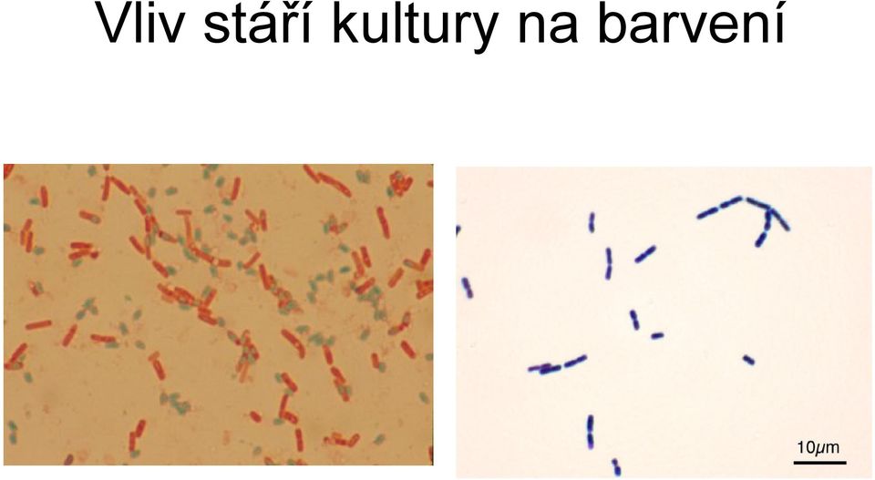 kultury