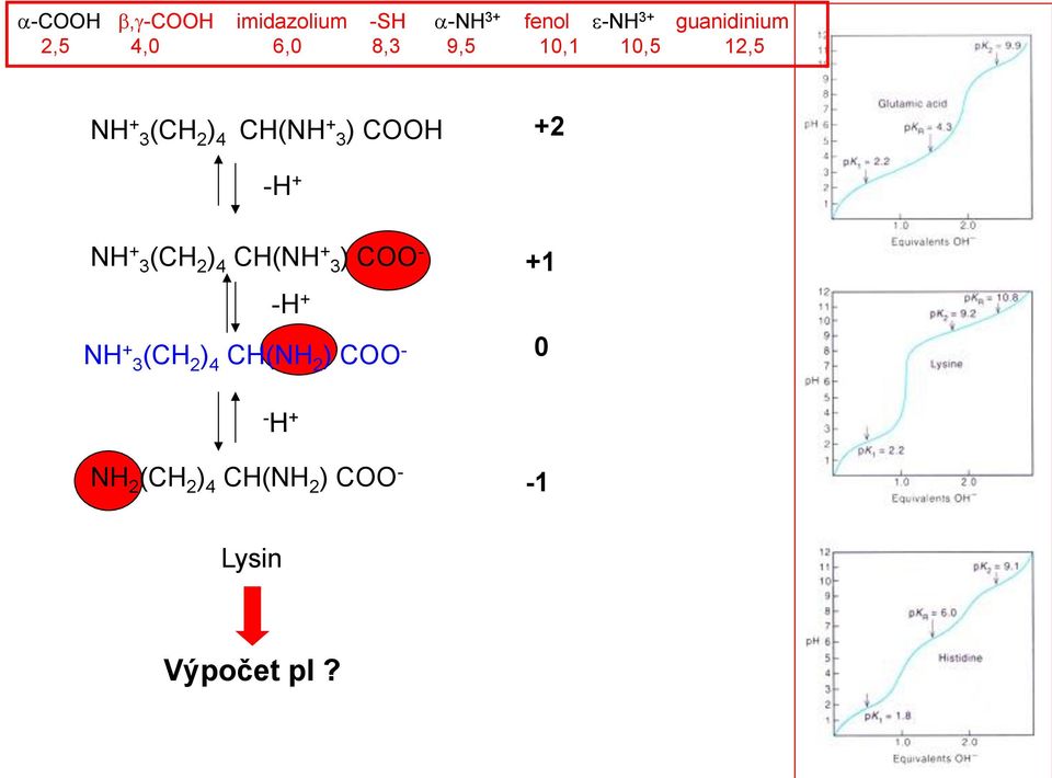 -H + NH + 3(CH 2 ) 4 CH(NH + 3) COO - -H + NH + 3(CH 2 ) 4 CH(NH