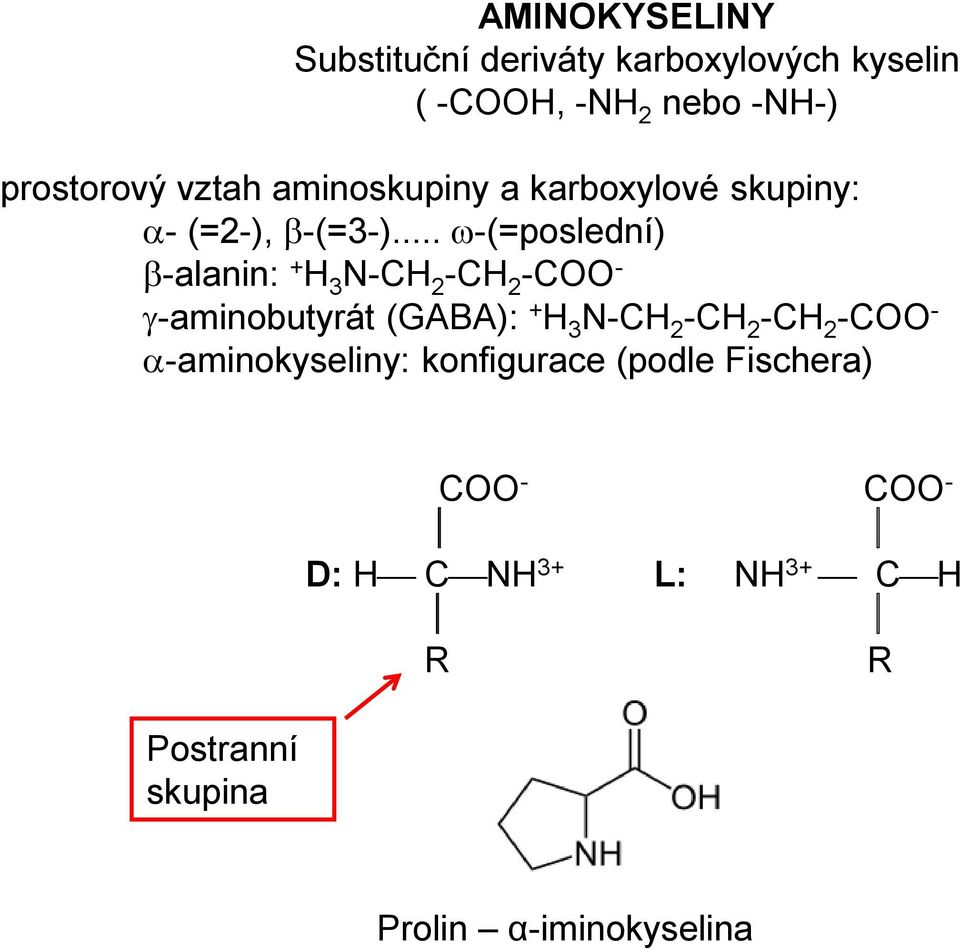 .. -(=poslední) -alanin: + H 3 N-CH 2 -CH 2 -COO - -aminobutyrát (GABA): + H 3 N-CH 2 -CH 2 -CH