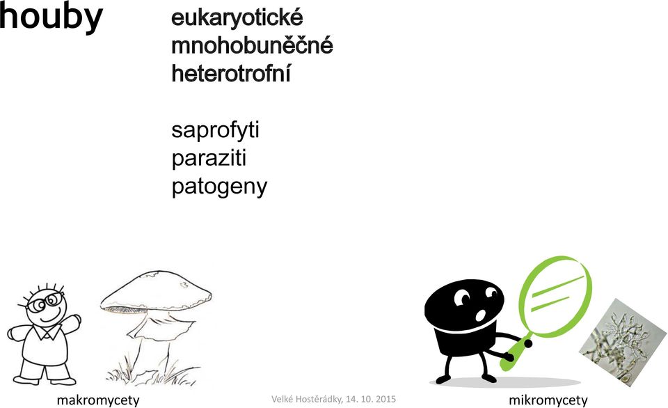 heterotrofní saprofyti