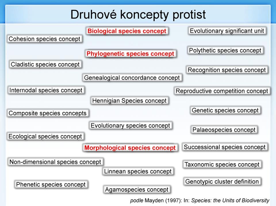 Genetic species concept Ecological species concept Evolutionary species concept Morphological species concept Palaeospecies concept Successional species concept Non-dimensional species