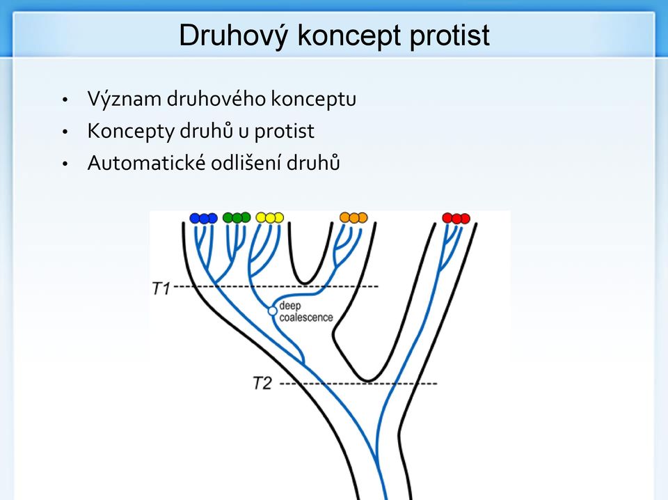 Koncepty druhů u protist