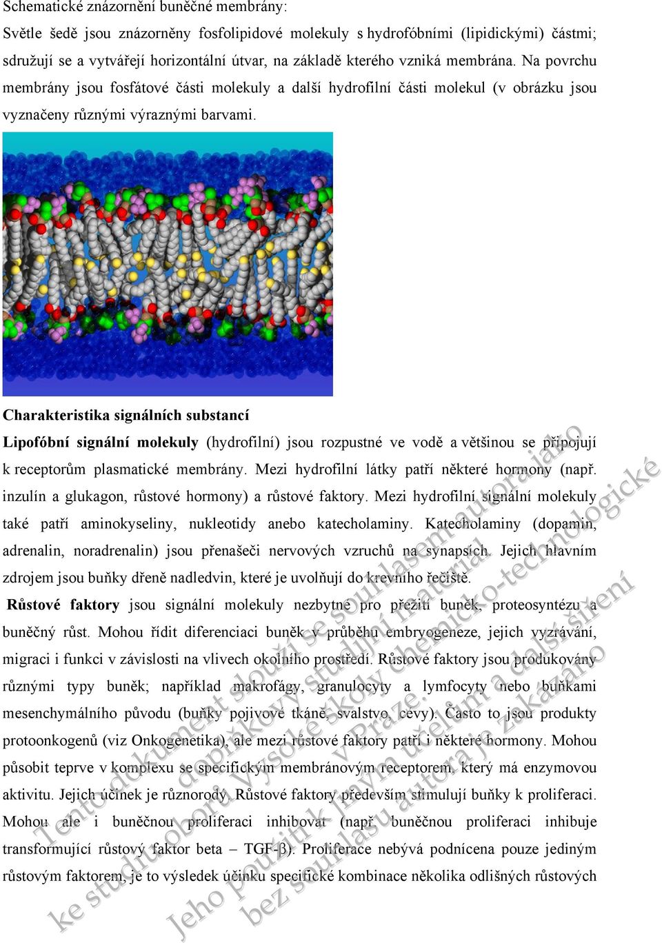 Charakteristika signálních substancí Lipofóbní signální molekuly (hydrofilní) jsou rozpustné ve vodě a většinou se připojují k receptorům plasmatické membrány.