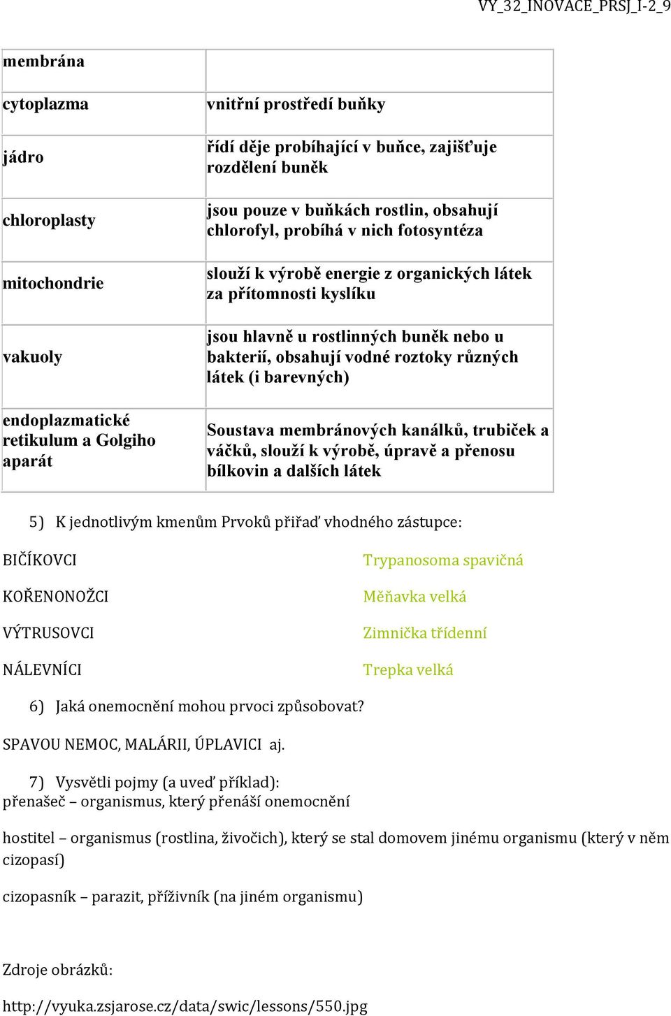 bakterií, obsahují vodné roztoky různých látek (i barevných) Soustava membránových kanálků, trubiček a váčků, slouží k výrobě, úpravě a přenosu bílkovin a dalších látek 5) K jednotlivým kmenům Prvoků