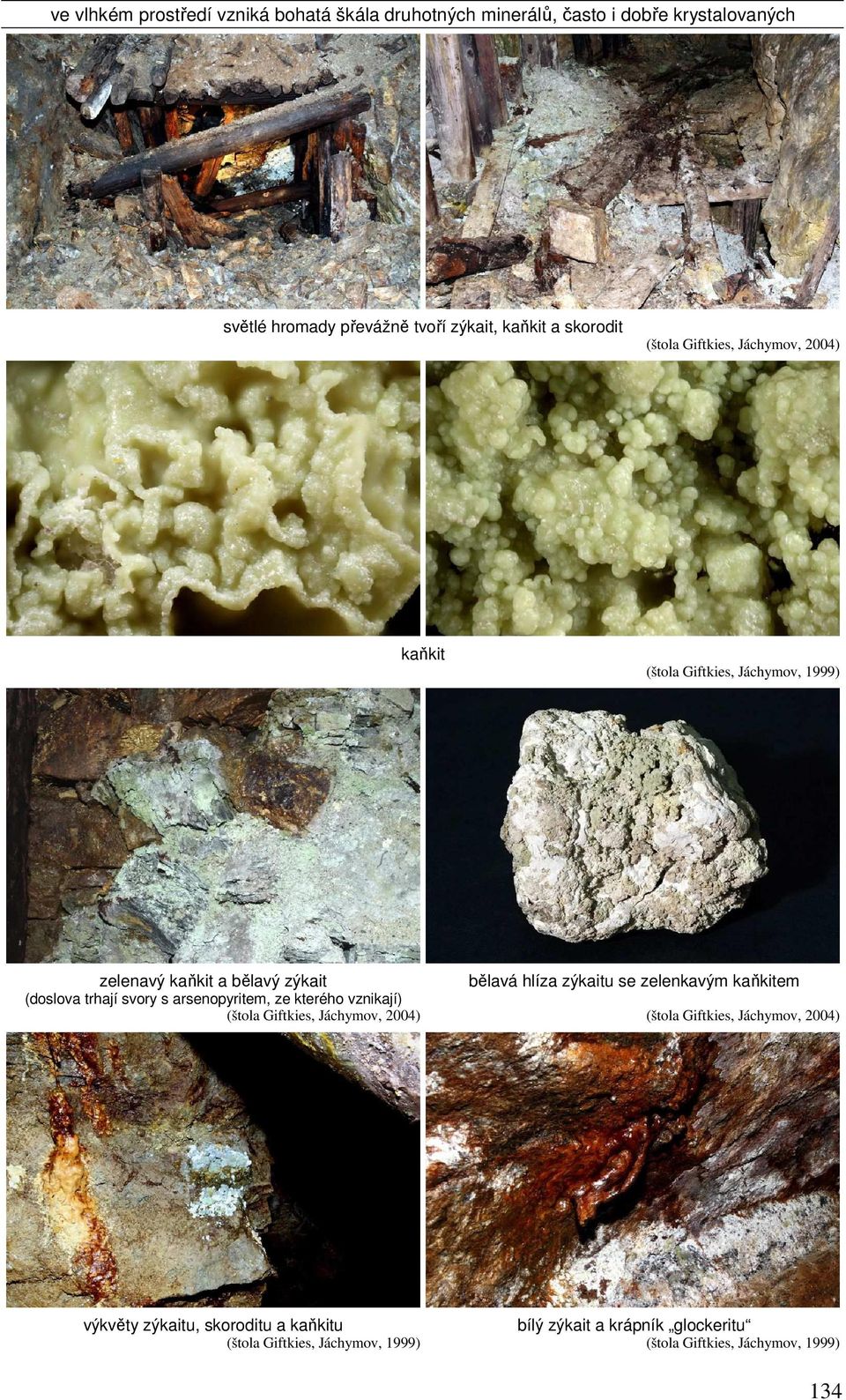 arsenopyritem, ze kterého vznikají) (štola Giftkies, Jáchymov, 2004) bělavá hlíza zýkaitu se zelenkavým kaňkitem (štola Giftkies, Jáchymov,