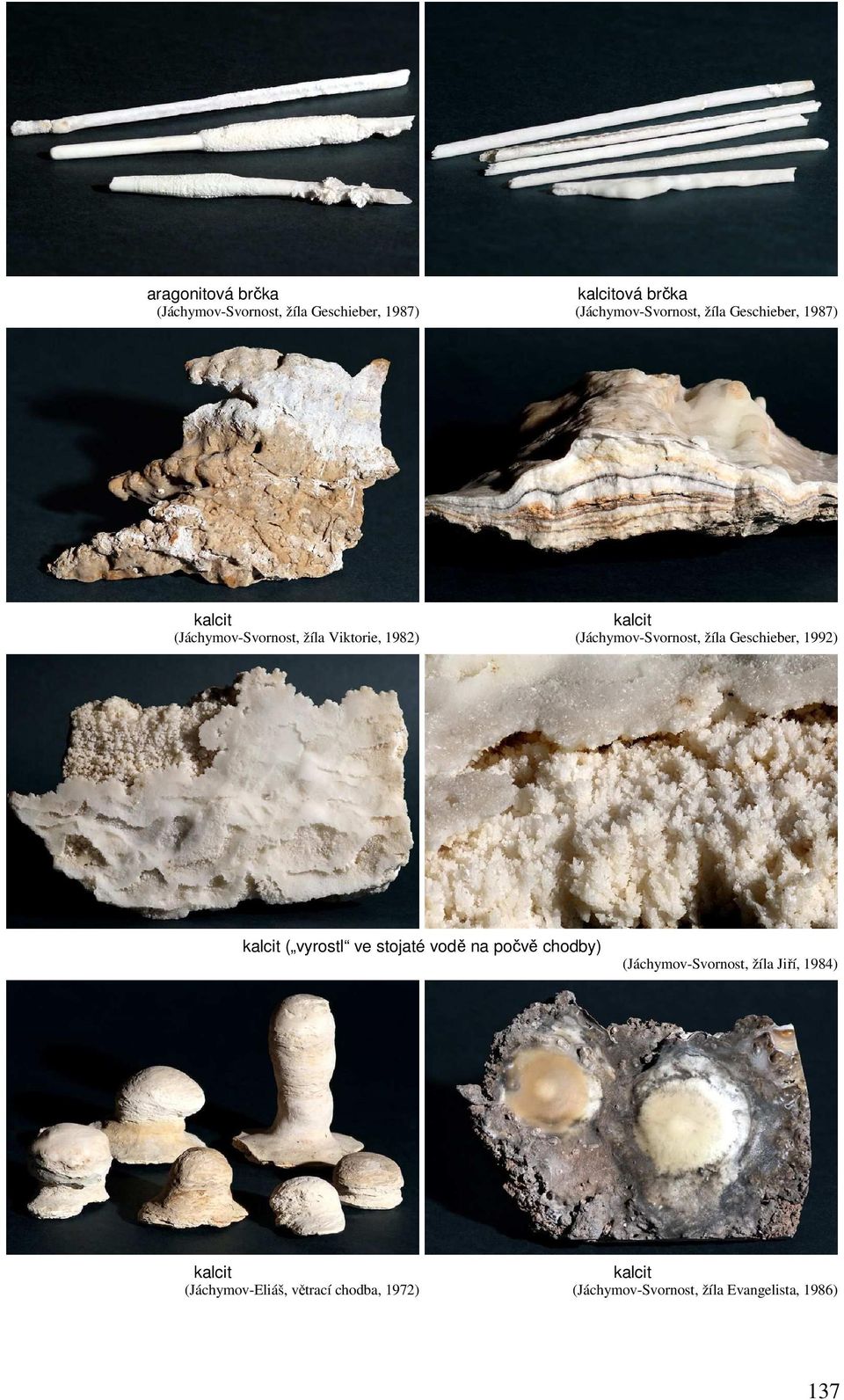 Geschieber, 1992) kalcit ( vyrostl ve stojaté vodě na počvě chodby) (Jáchymov-Svornost, žíla Jiří,