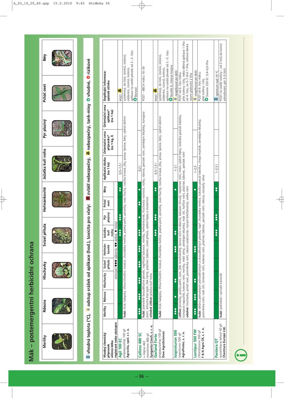 2010 9:45 StrÆnka 36 Mák postemergentní herbcdní ochrana Merlíky Rdesna Hluchavky Svízel přítula Heřmánkovté Ježatka kuří noha Pýr plazvý Pcháč oset Béry vhodná teplota ( C), odstup srážek od aplkace
