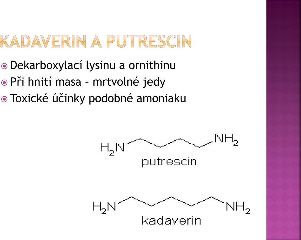 masa mrtvolné jedy