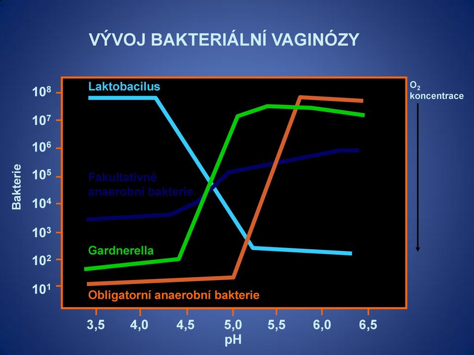 1 Fakultativně anaerobní bakterie Gardnerella