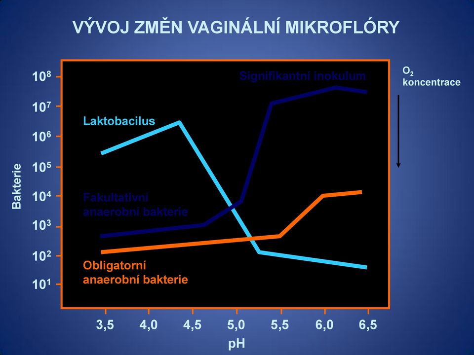 Laktobacilus 10 5 10 4 10 3 Fakultativní anaerobní