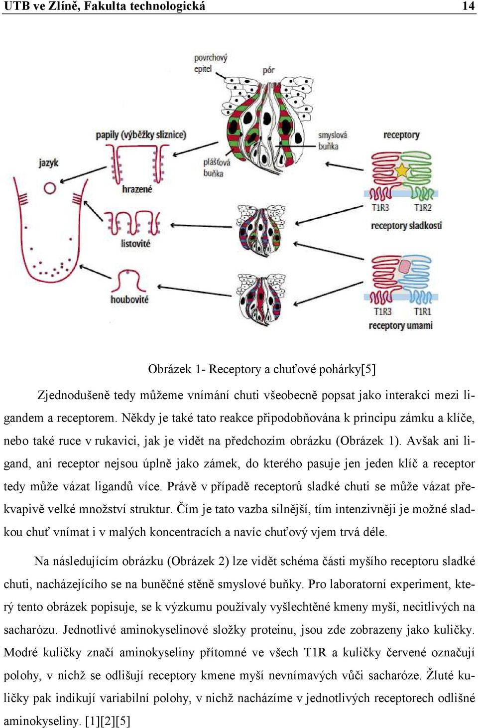 Avšak ani ligand, ani receptor nejsou úplně jako zámek, do kterého pasuje jen jeden klíč a receptor tedy může vázat ligandů více.