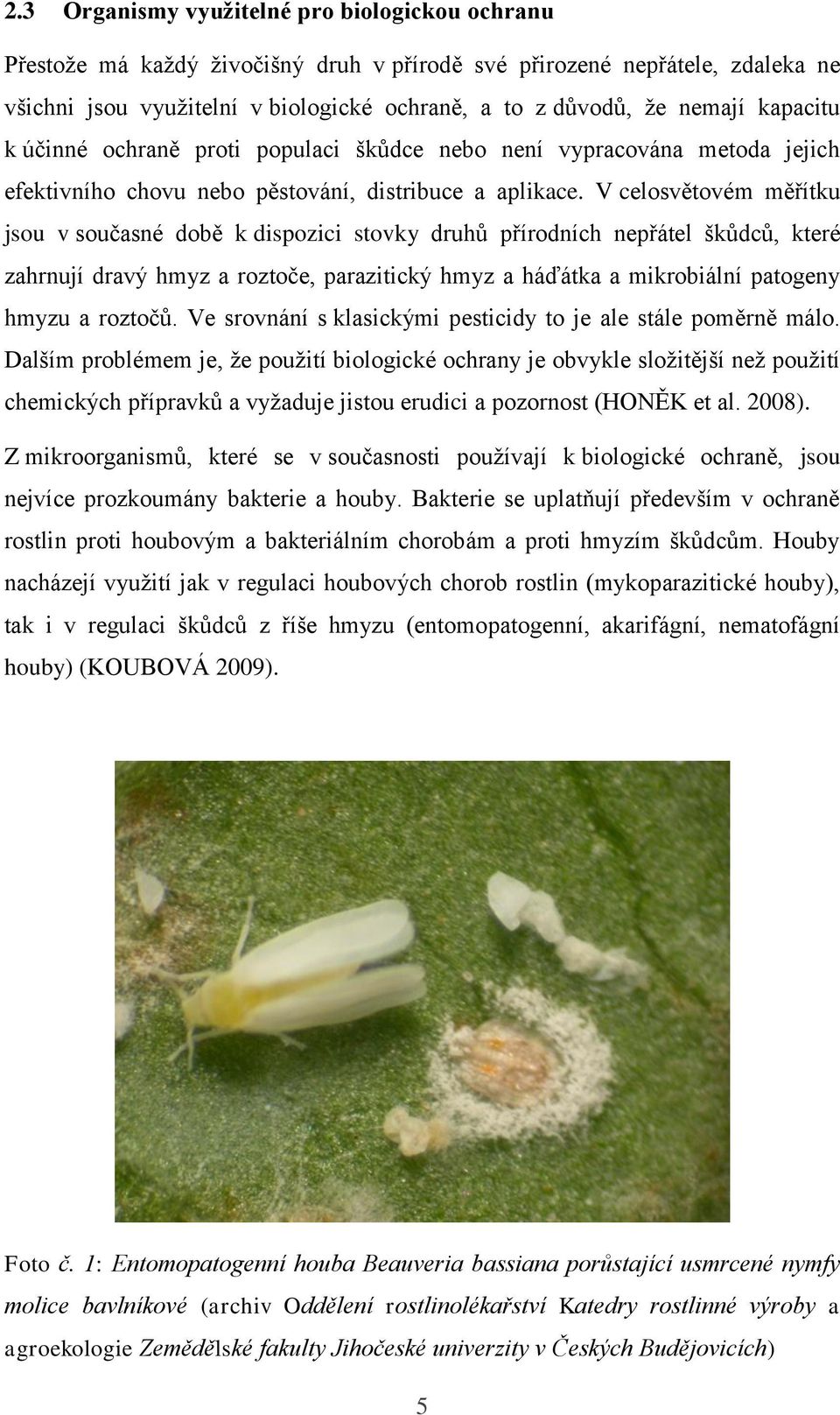 V celosvětovém měřítku jsou v současné době k dispozici stovky druhů přírodních nepřátel škůdců, které zahrnují dravý hmyz a roztoče, parazitický hmyz a háďátka a mikrobiální patogeny hmyzu a roztočů.