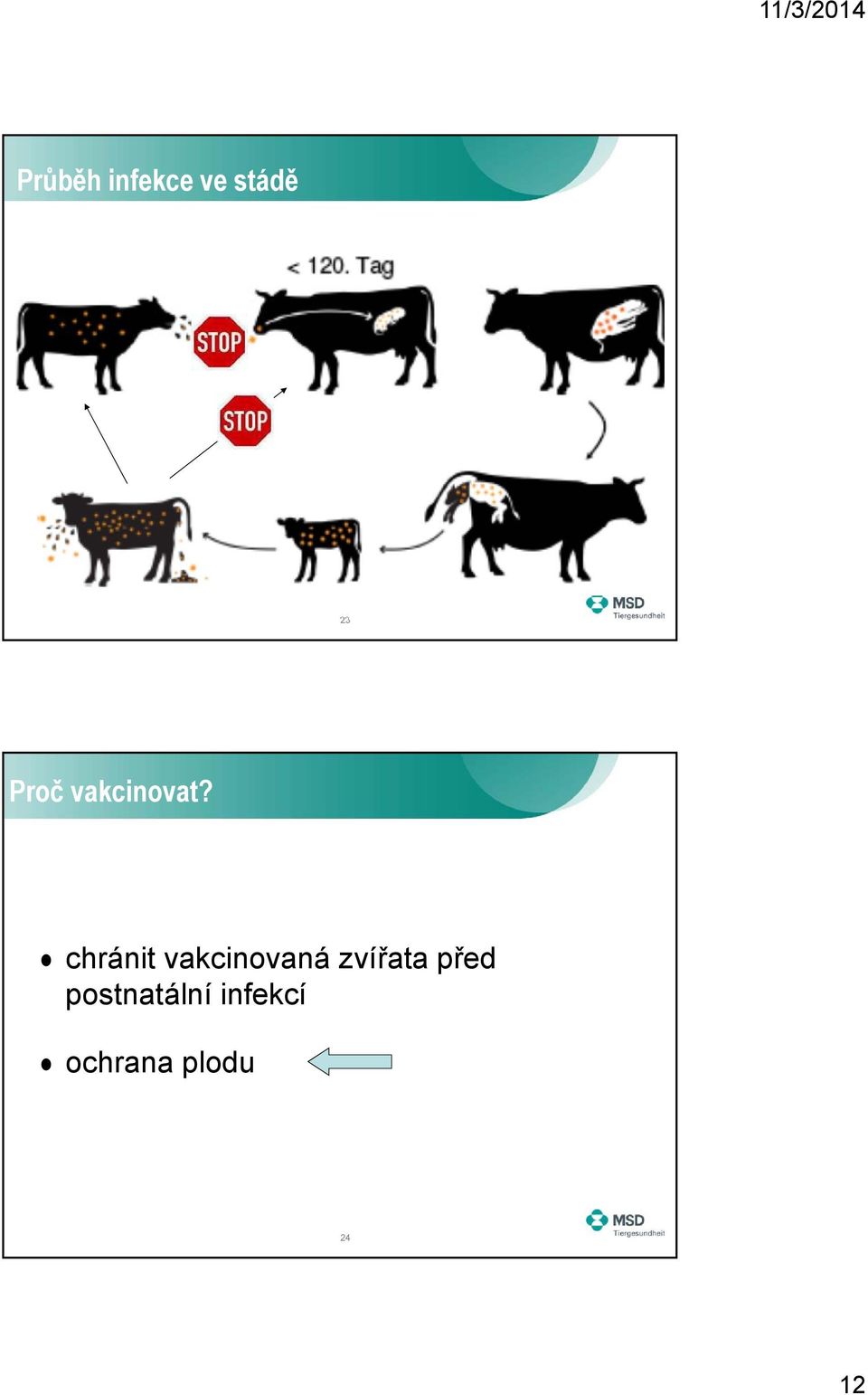 chránit vakcinovaná zvířata