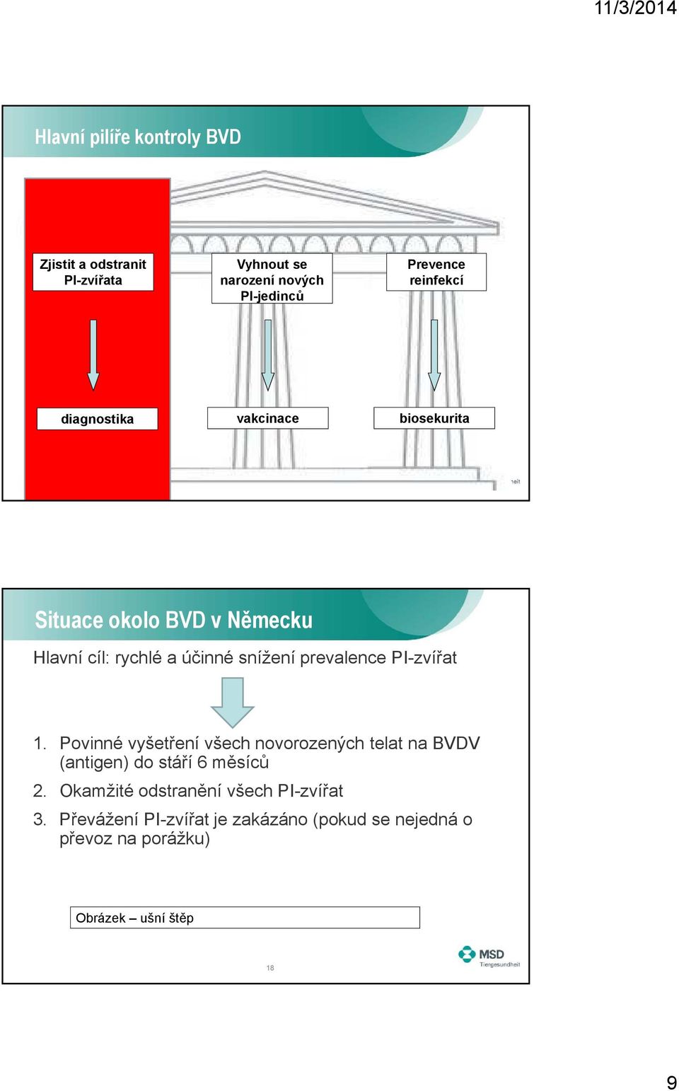 prevalence PI-zvířat 1. Povinné vyšetření všech novorozených telat na BVDV (antigen) do stáří 6 měsíců 2.