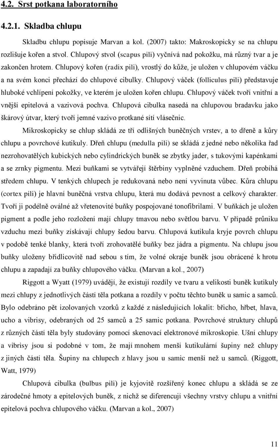 Chlupový kořen (radix pili), vrostlý do kůže, je uložen v chlupovém váčku a na svém konci přechází do chlupové cibulky.