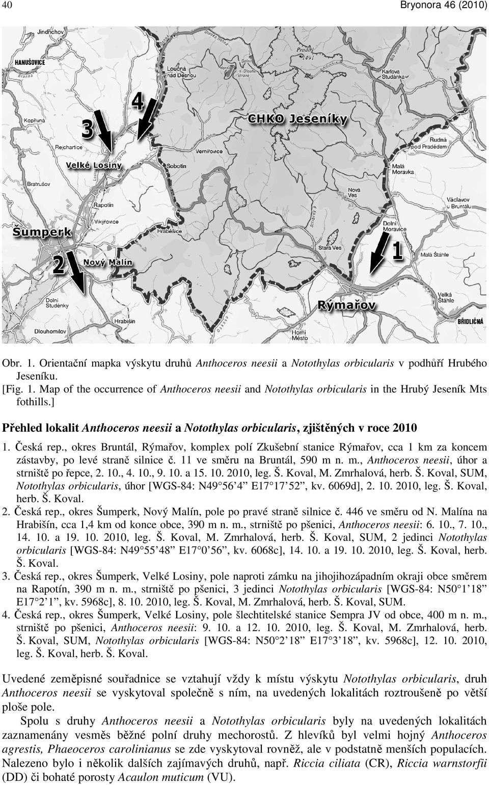 , okres Bruntál, Rýmařov, komplex polí Zkušební stanice Rýmařov, cca 1 km za koncem zástavby, po levé straně silnice č. 11 ve směru na Bruntál, 590 m n. m., Anthoceros neesii, úhor a strniště po řepce, 2.