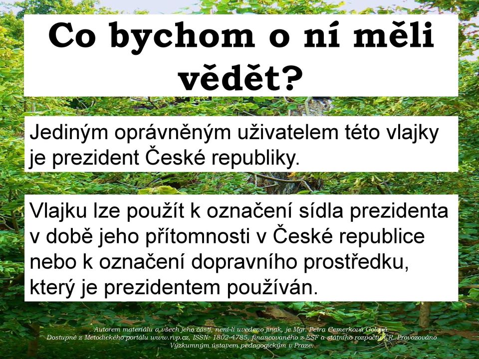 Vlajku lze použít k označení sídla prezidenta v době jeho přítomnosti v České republice nebo k