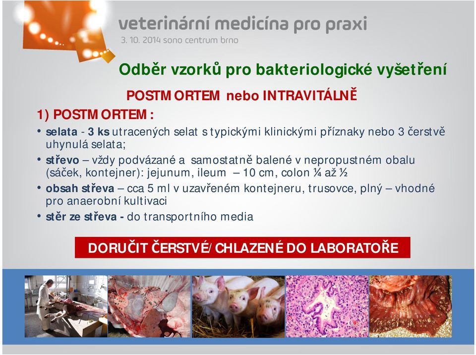 vnepropustném obalu (sáček, kontejner): jejunum, ileum 10 cm, colon ¼ až ½ obsah střeva cca 5 ml vuzavřeném