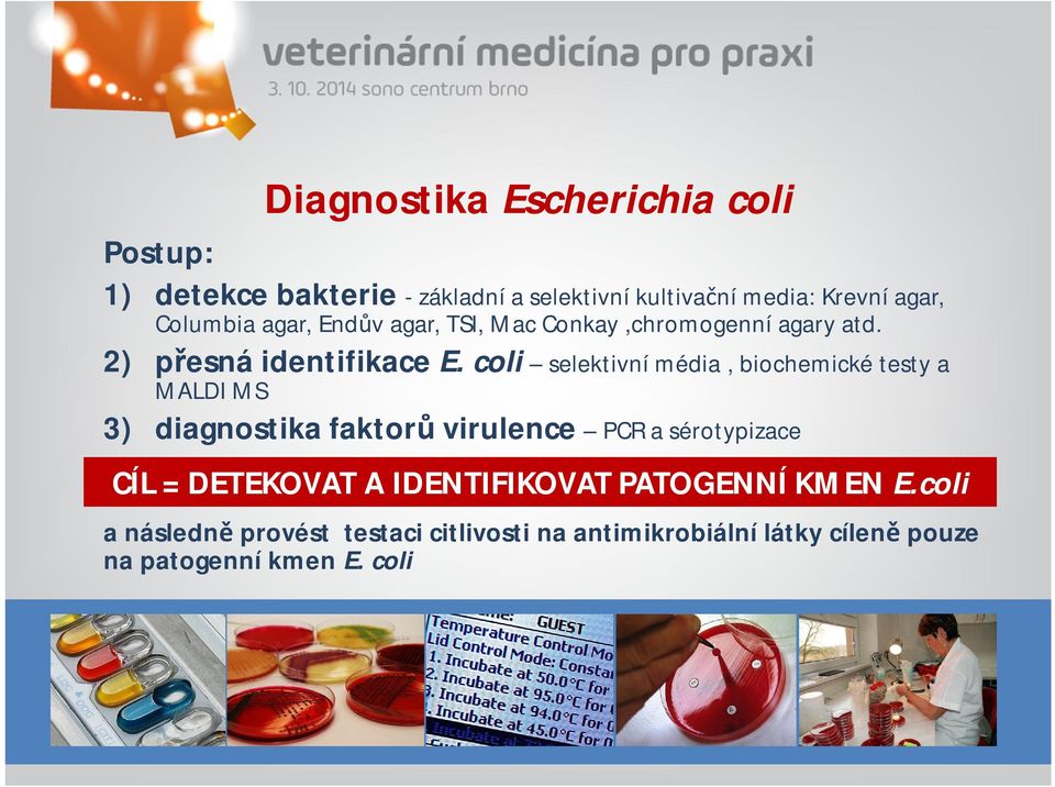 coli selektivní média, biochemické testy a MALDI MS 3) diagnostika faktorů virulence PCR a sérotypizace CÍL =