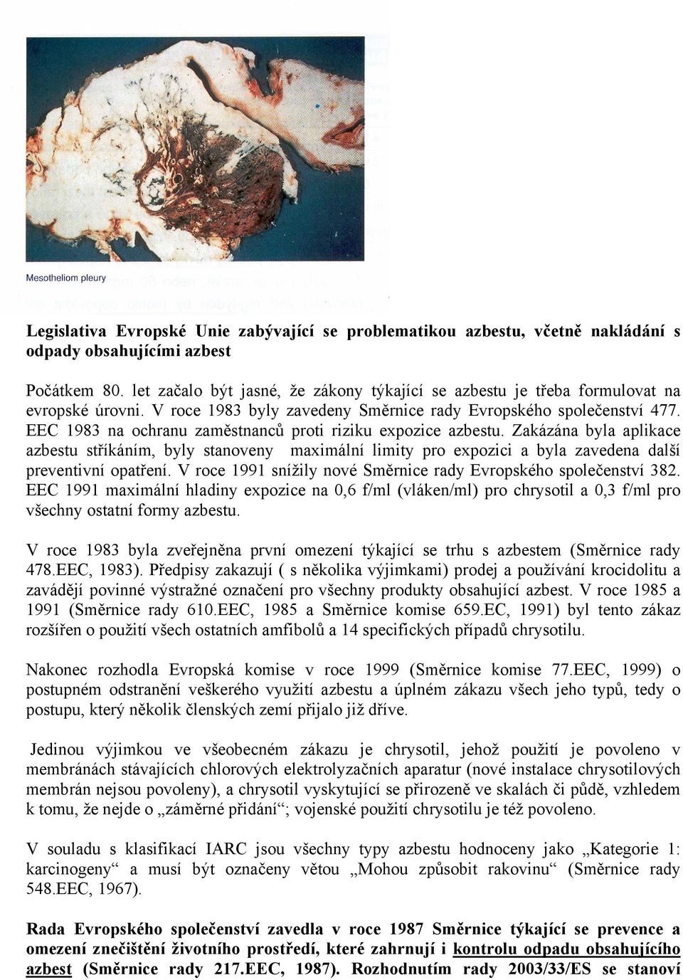 EEC 1983 na ochranu zaměstnanců proti riziku expozice azbestu. Zakázána byla aplikace azbestu stříkáním, byly stanoveny maximální limity pro expozici a byla zavedena další preventivní opatření.