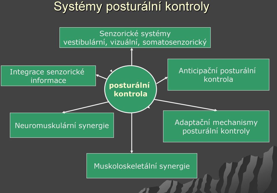 posturální kontrola Anticipační posturální kontrola