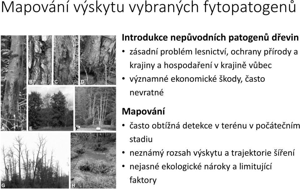 ekonomické škody, často nevratné Mapování často obtížná detekce v terénu v počátečním