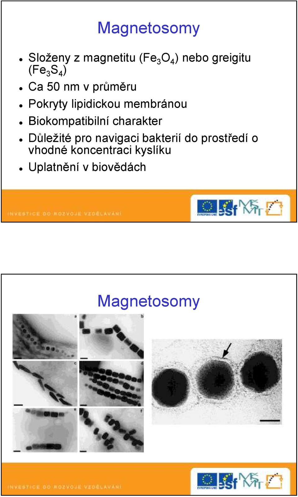 Biokompatibilní charakter Důležité pro navigaci bakterií do