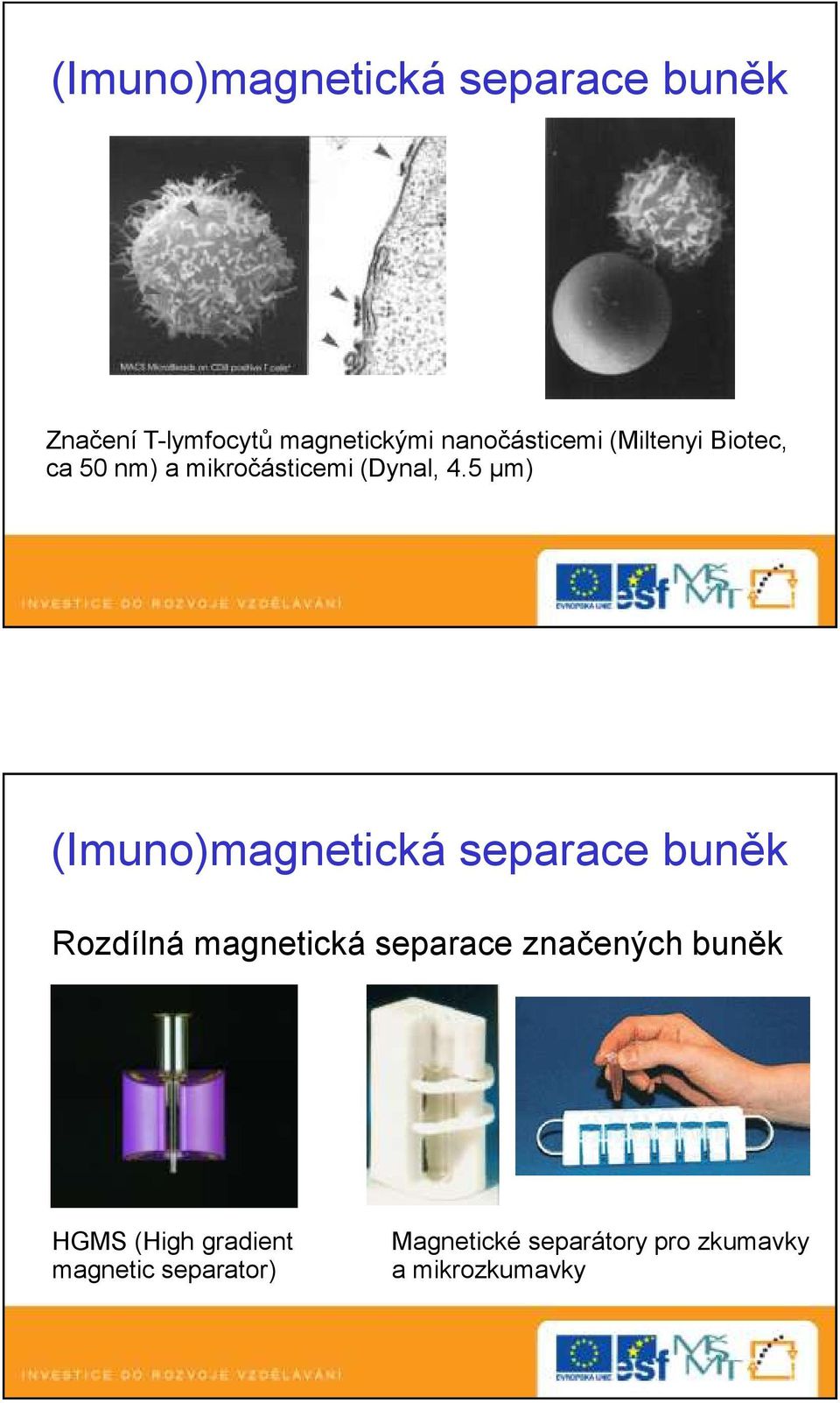 5 μm) (Imuno)magnetická separace buněk Rozdílná magnetická separace značených