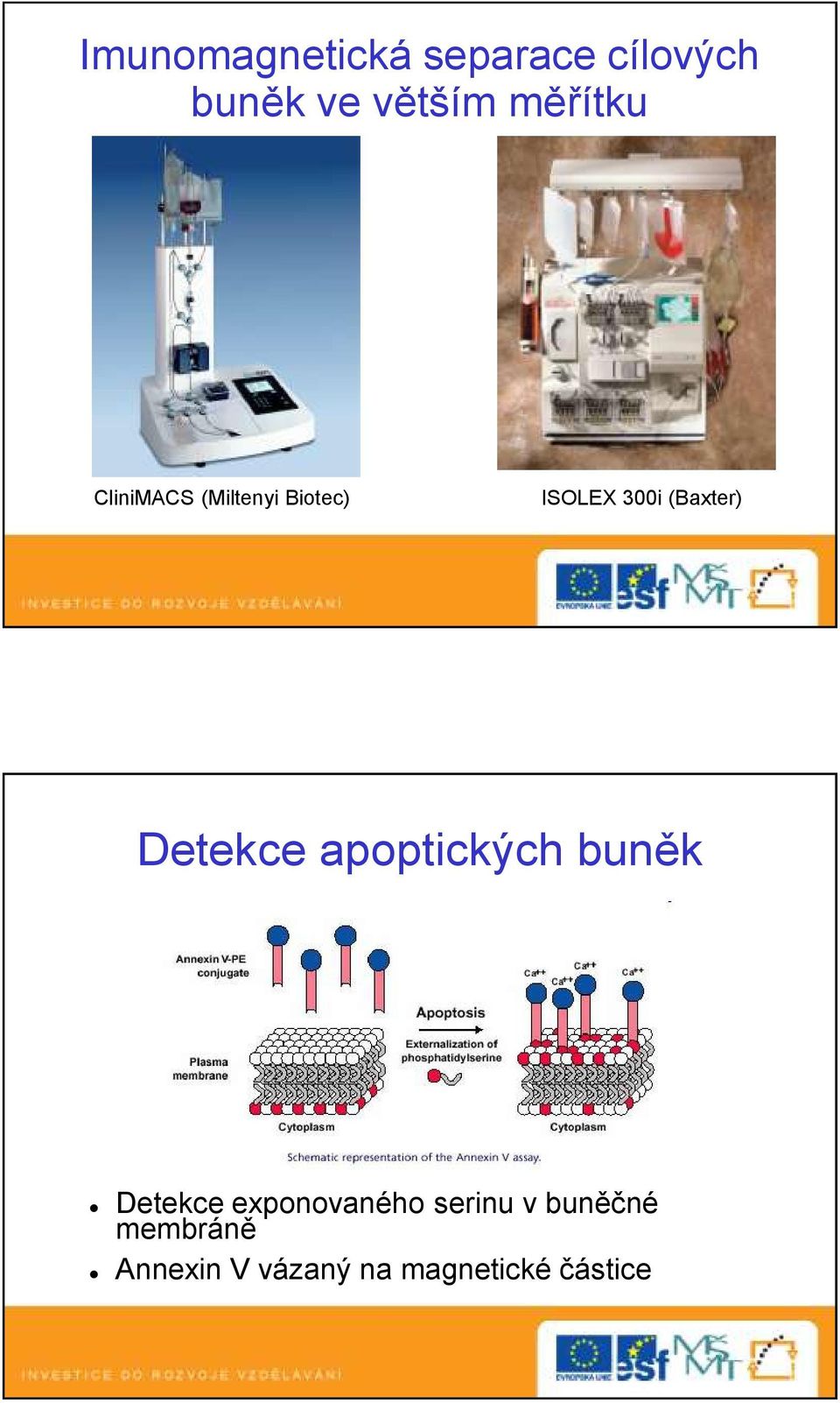 (Baxter) Detekce apoptických buněk Detekce