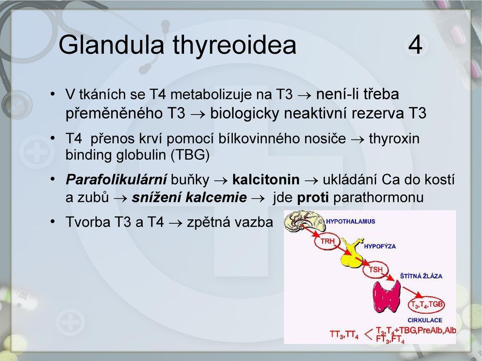 bílkovinného nosiče thyroxin binding globulin (TBG) Parafolikulární buňky