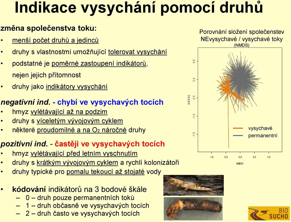 - chybí ve vysychavých tocích hmyz vylétávající až na podzim druhy s víceletým vývojovým cyklem některé proudomilné a na O2 náročné druhy pozitivní ind.