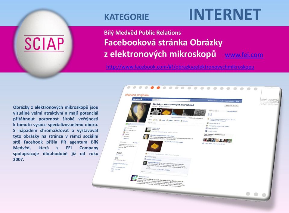 /obrazkyzelektronovychmikroskopu Obrázky z elektronových mikroskopů jsou vizuálně velmi atraktivní a mají potenciál přitáhnout