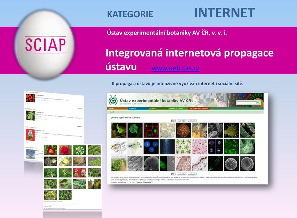 Integrovaná internetová propagace ústavu www.