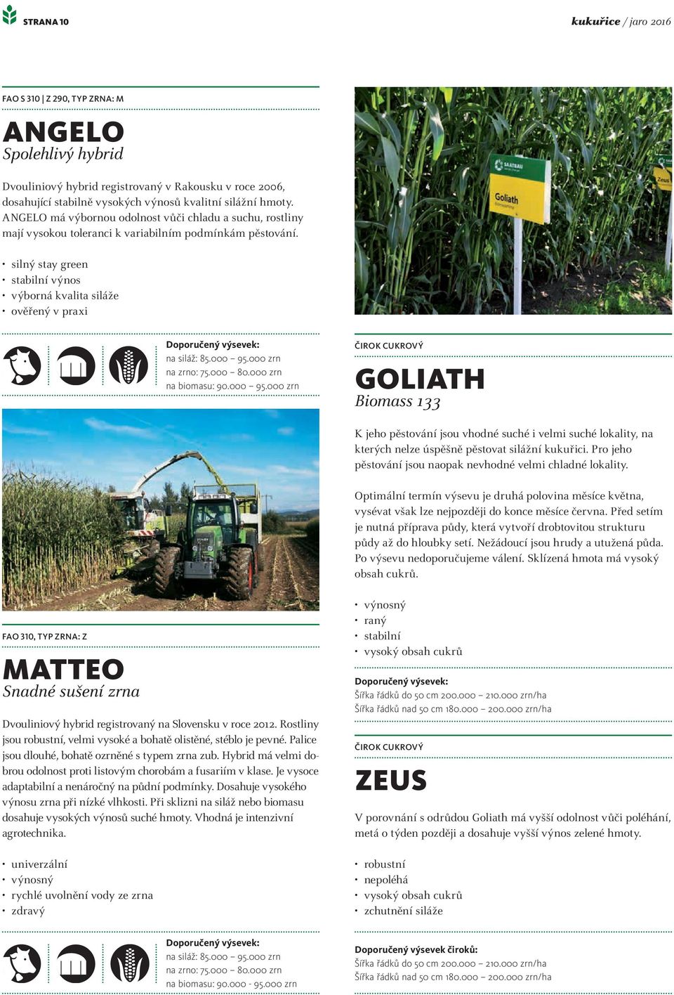 000 95.000 zrn na zrno: 75.000 80.000 zrn na biomasu: 90.000 95.000 zrn ČIROK CUKROVÝ GOLIATH Biomass 133 K jeho pěstování jsou vhodné suché i velmi suché lokality, na kterých nelze úspěšně pěstovat silážní kukuřici.