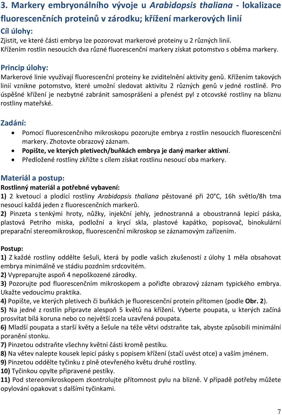 Princip úlohy: Markerové linie využívají fluorescenční proteiny ke zviditelnění aktivity genů.