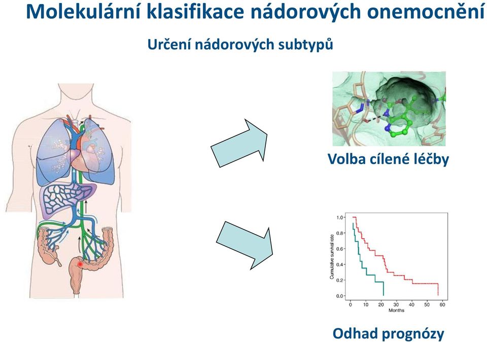 Určení nádorových subtypů