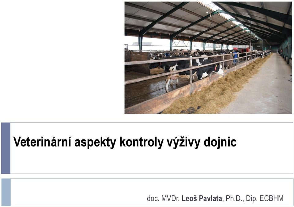 dojnic doc. MVDr.