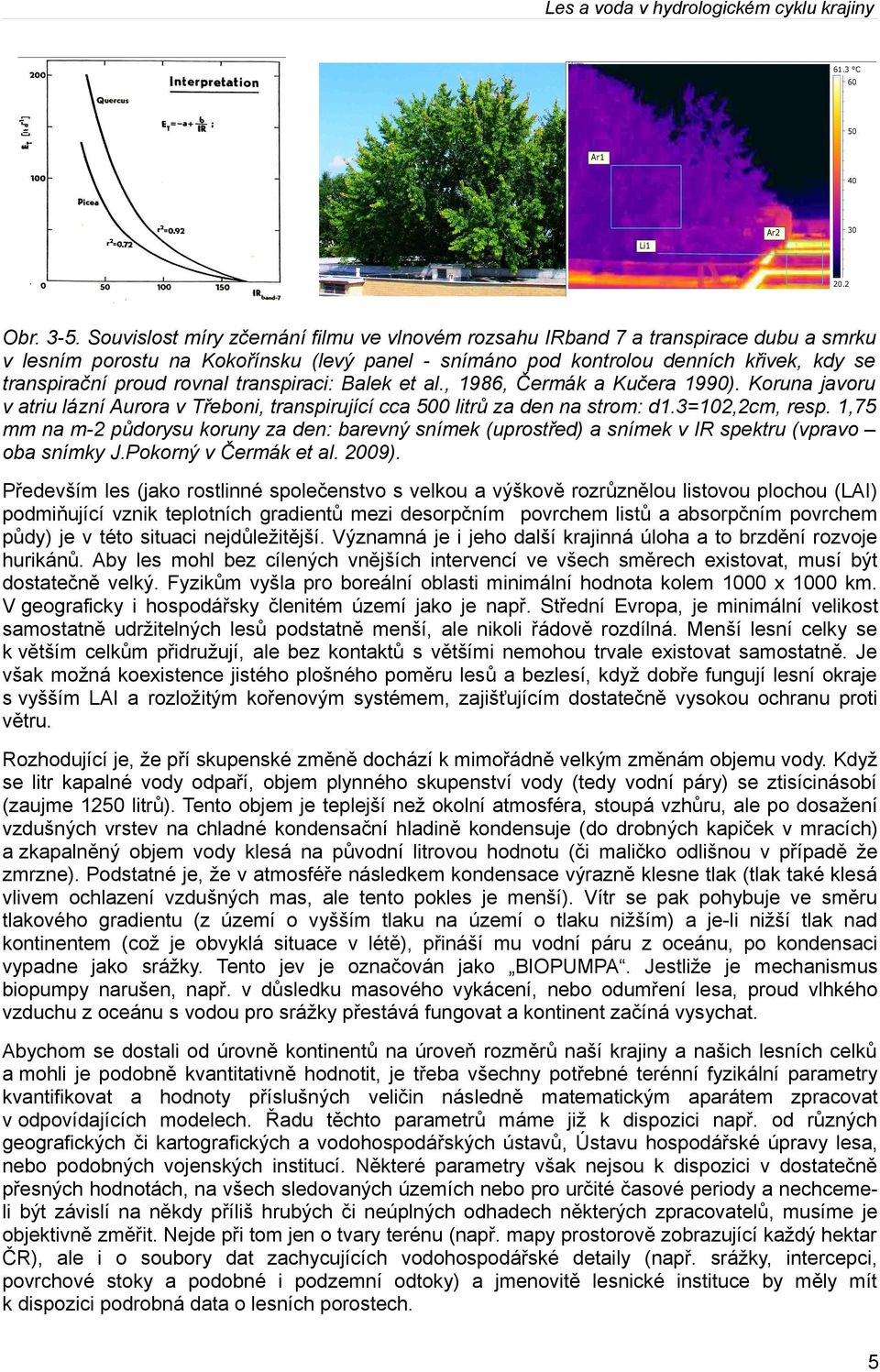 rovnal transpiraci: Balek et al., 1986, Čermák a Kučera 1990). Koruna javoru v atriu lázní Aurora v Třeboni, transpirující cca 500 litrů za den na strom: d1.3=102,2cm, resp.