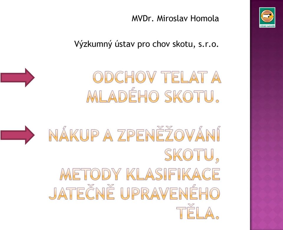 Výzkumný ústav