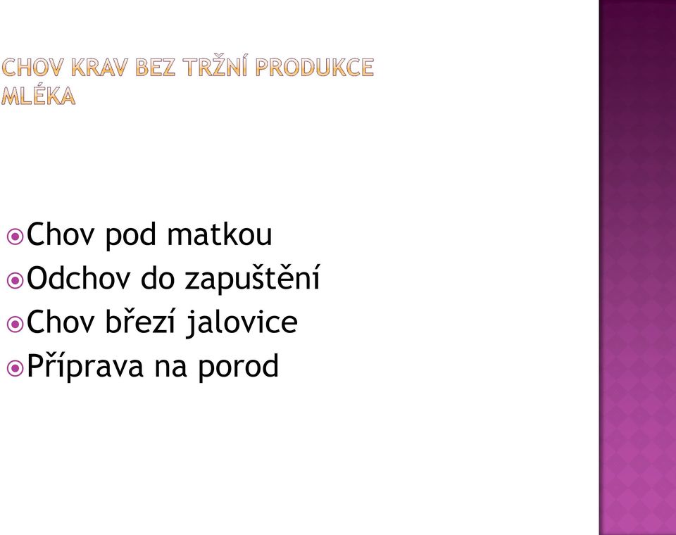 zapuštění Chov
