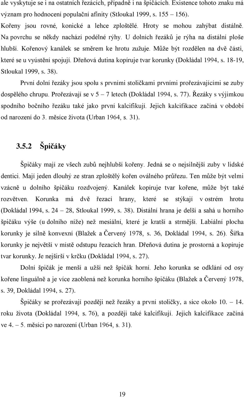 Kořenový kanálek se směrem ke hrotu zužuje. Může být rozdělen na dvě části, které se u vyústění spojují. Dřeňová dutina kopíruje tvar korunky (Dokládal 1994, s. 18-19, Stloukal 1999, s. 38).