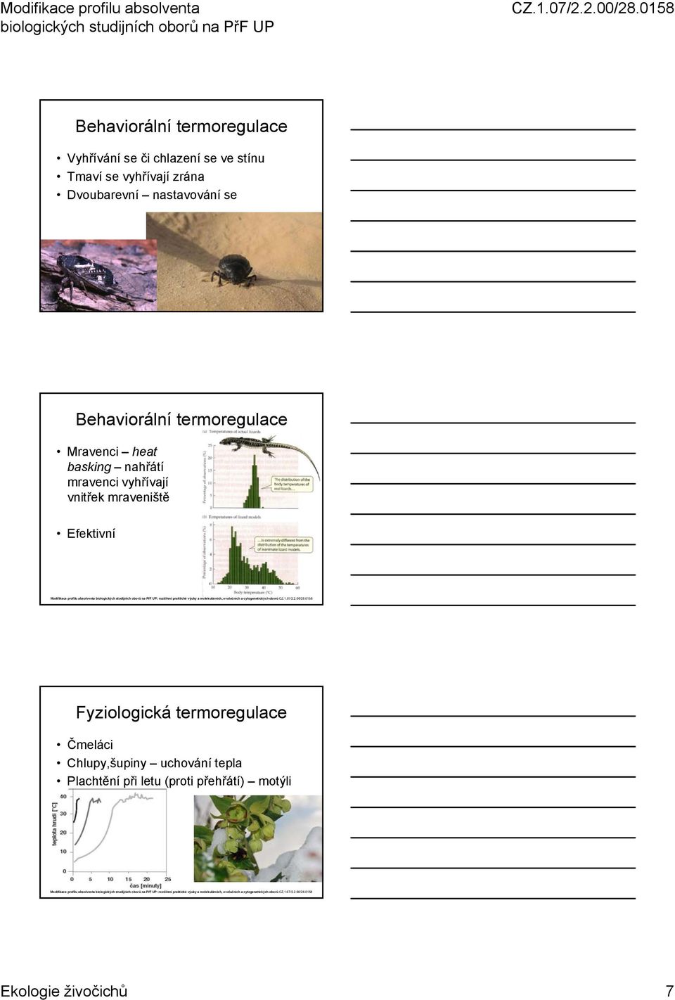 nahřátí mravenci vyhřívají vnitřek mraveniště Efektivní Fyziologická termoregulace