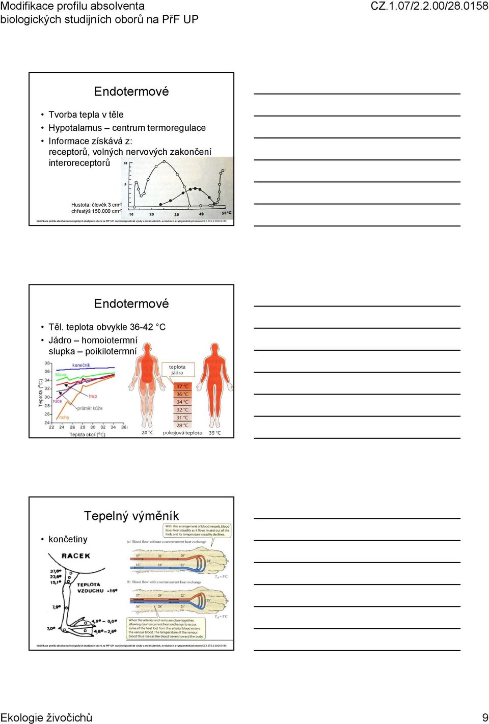 člověk 3 cm -2 chřestýš 150.000 cm -2 Endotermové Těl.