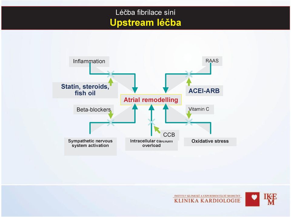 Vitamin C Sympathetic nervous system activation