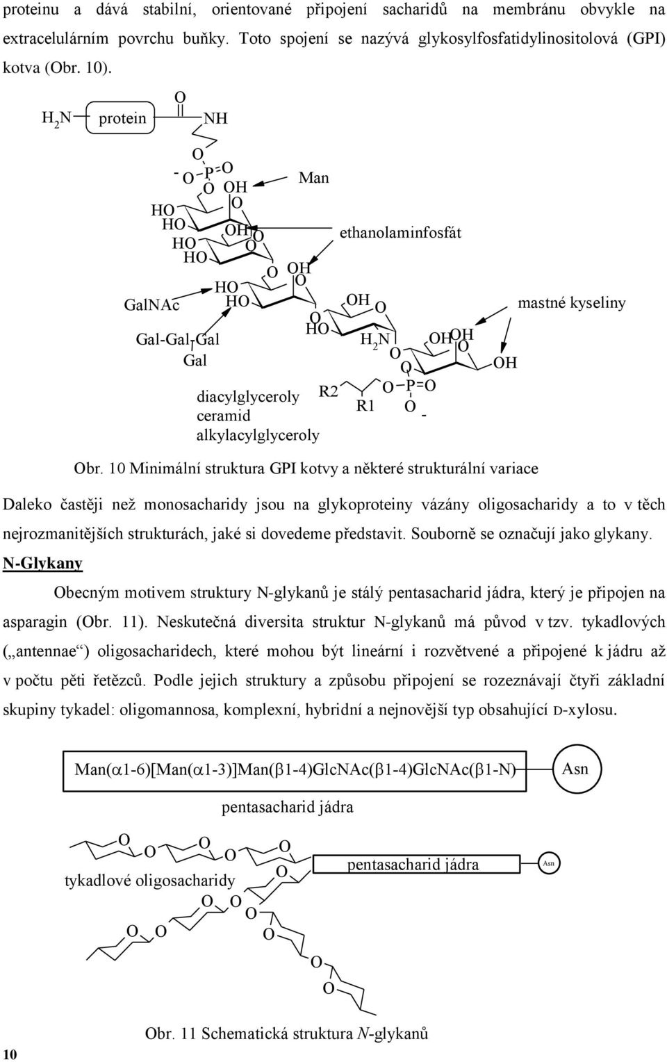 10 Minimální struktura GPI kotvy a některé strukturální variace Daleko častěji než monosacharidy jsou na glykoproteiny vázány oligosacharidy a to v těch nejrozmanitějších strukturách, jaké si