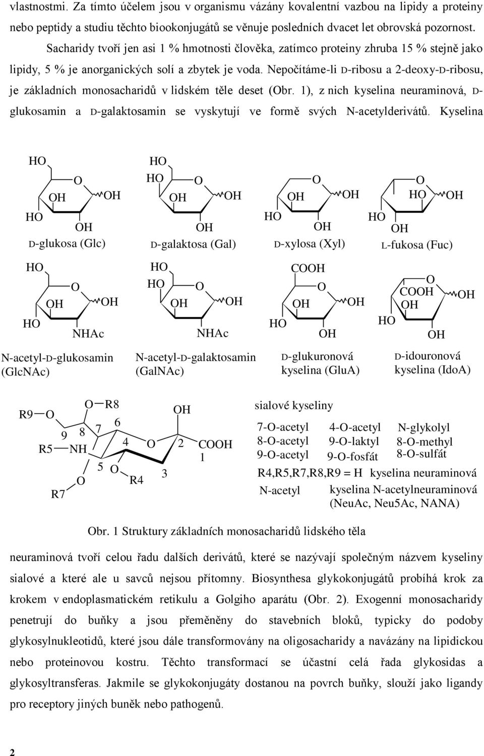 Nepočítámeli Dribosu a 2deoxyDribosu, je základních monosacharidů v lidském těle deset (br. 1), z nich kyselina neuraminová, D glukosamin a Dgalaktosamin se vyskytují ve formě svých Nacetylderivátů.