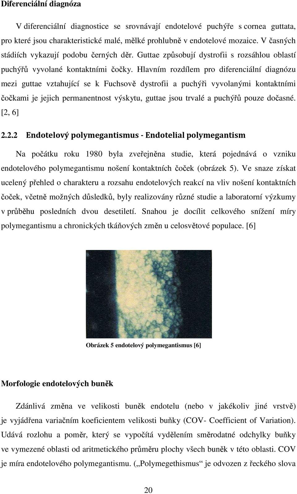 Hlavním rozdílem pro diferenciální diagnózu mezi guttae vztahující se k Fuchsově dystrofii a puchýři vyvolanými kontaktními čočkami je jejich permanentnost výskytu, guttae jsou trvalé a puchýřů pouze