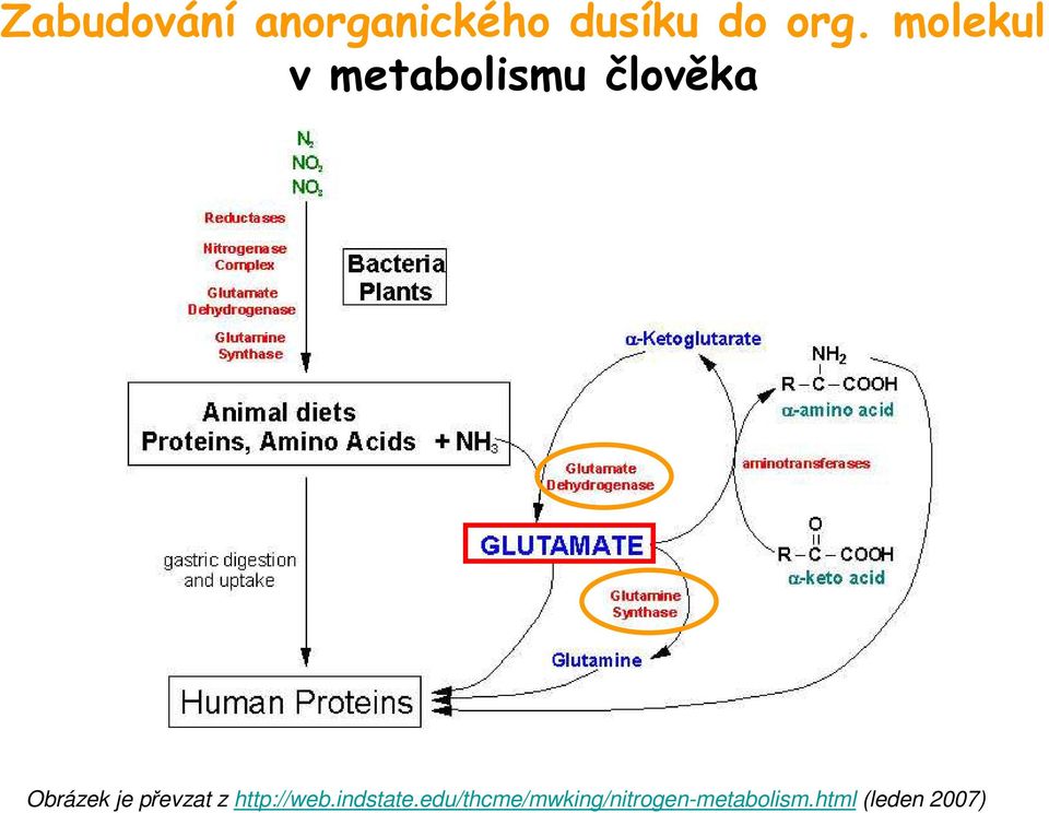 převzat z http://web.indstate.